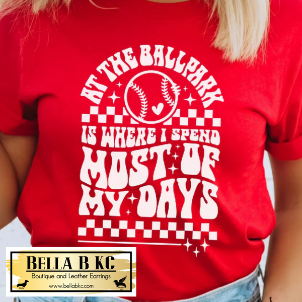 Baseball/Softball At the Ballpark is Where I Spend Most of my Days Tee or Sweatshirt