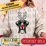 **PREORDER ONLY** Christmas - Great Dane Reindeer Dog - Multiple Shirt Options - 1 Week Turnaround Time