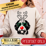 **PREORDER ONLY** Christmas - Bernadoodle Reindeer Dog - Multiple Shirt Options - 1 Week Turnaround Time