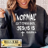 Faith - Normal isn't Coming Back - Jesus Is Tee or Sweatshirt