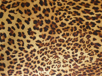 GENUINE Animal Print Cheetah on Metallic Gold