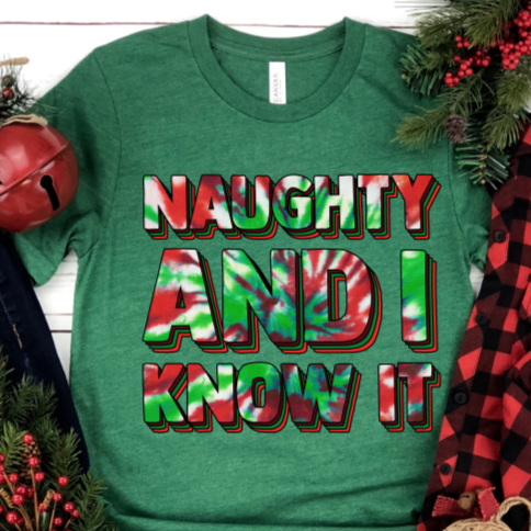 Christmas - Naughty and I know it Tee